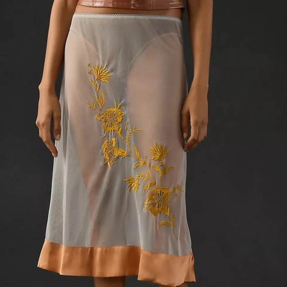 NWT Anthropologie Sheer Embroidered Midi Skirt XS - Picture 2 of 4